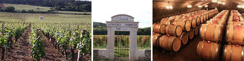 Gevrey Chambertin