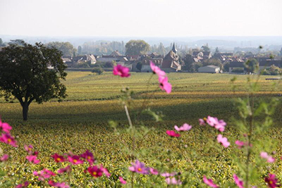 Puligny Montrachet, France Luxury wine tour Puligny Montrachet, France Luxury wine tour
