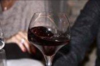 Wine tasting in Nuits Saint Georges