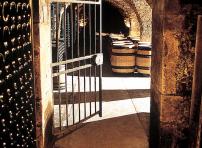 Cave in Cote de Nuits, Gevrey Chambertin - Part of Champagne, Burgundy Loire Valley wine tour GW5 Cave in Cote de Nuits, Gevrey Chambertin - Part of Champagne, Burgundy Loire Valley wine tour GW5