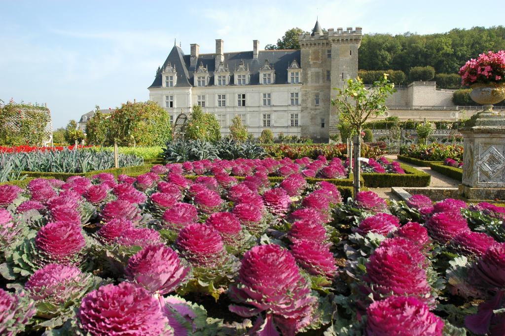Chateau de Villandry Chateau de Villandry