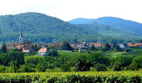 Mittelbergheim-500px.jpg