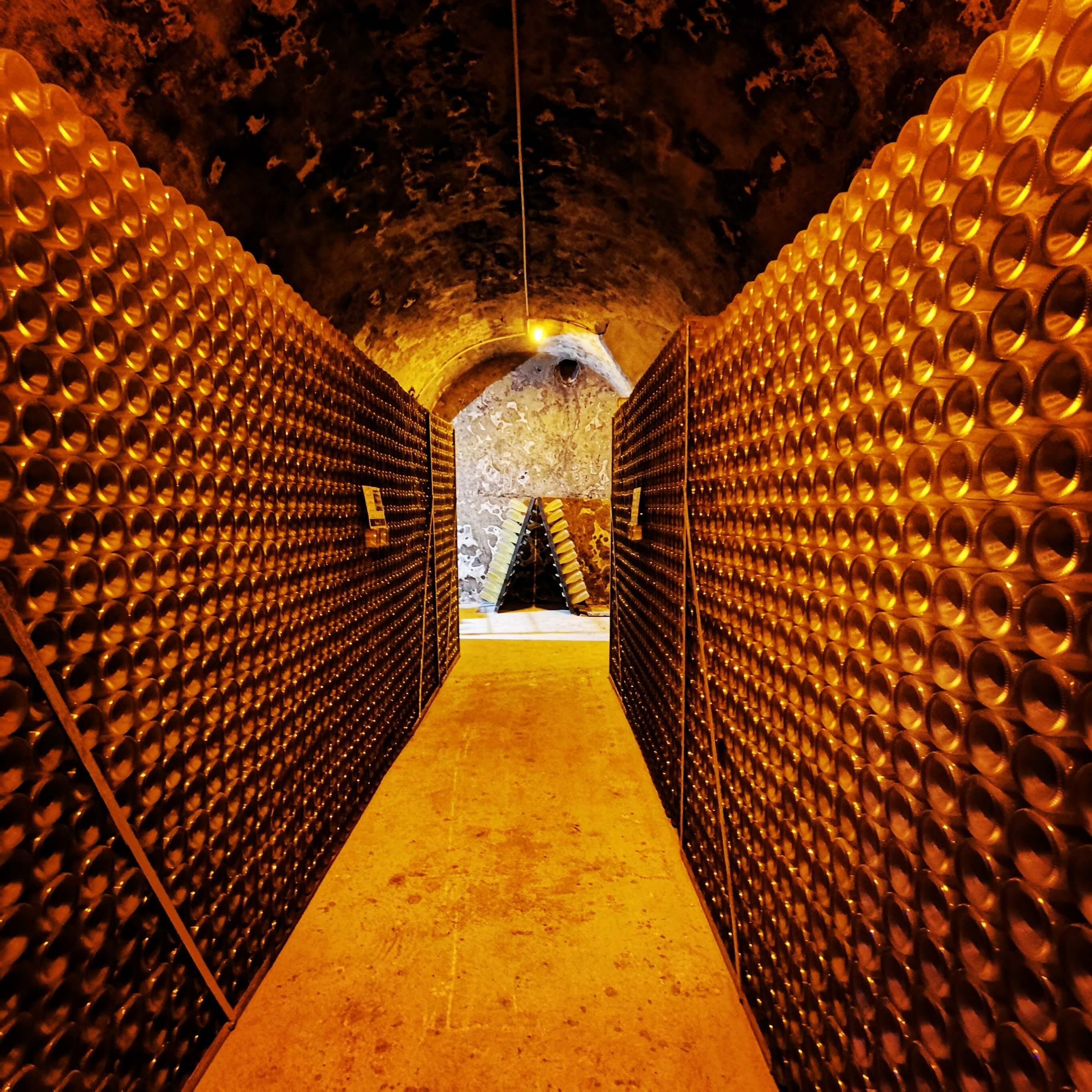 Visit Veuve Clicquot Champagne House - All Wine Tours