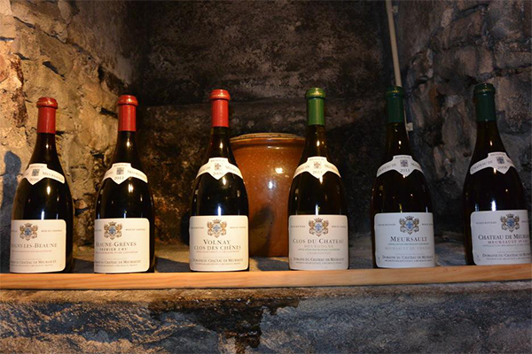 Guided tour and Bourgogne wine tasting - Private Luxury Tour in Burgundy