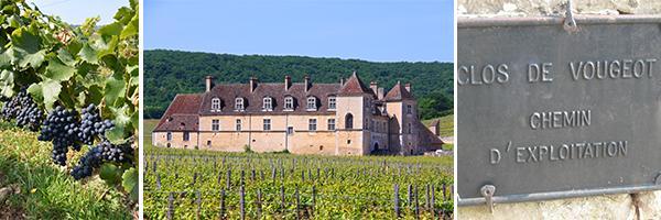 clos-vougeot_1.jpg