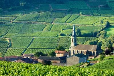 route-des-grands-crus_2.jpg