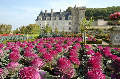 Chateau de Villandry, France Luxury wine tour Chateau de Villandry, France Luxury wine tour