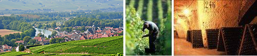 Guided tour and Champagne tasting at a local domain in Damery - Private luxury Champagne tour