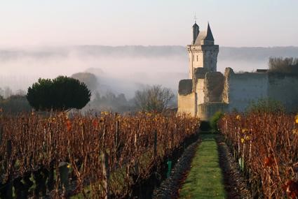 Chinon