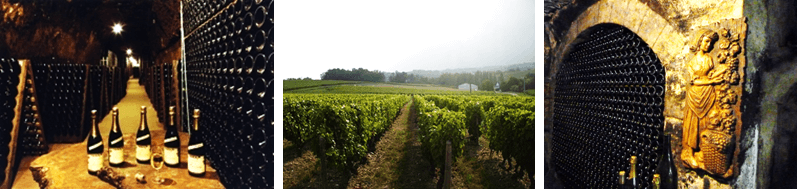 loire valley, grapevine, cave, wine