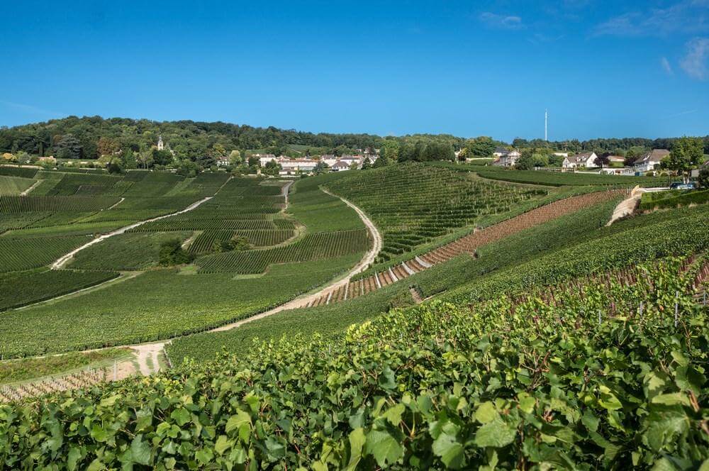 Guided tour of Hautvillers with Dom Perignon's tomb - Private luxury Champagne tour