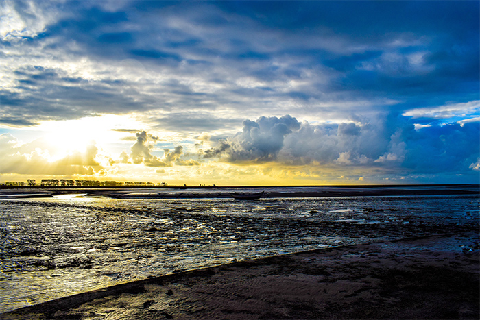 plage-700px.jpg