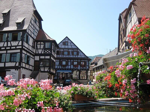 timbering, flower, alsace