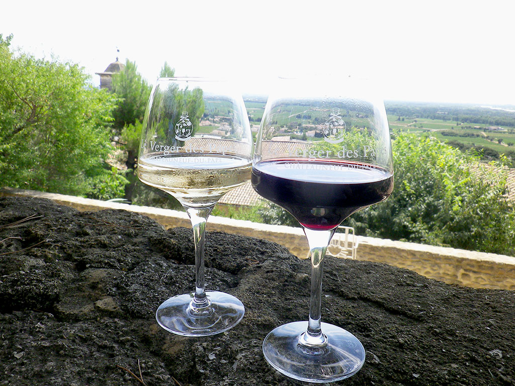 Tour and wine tasting in Chateauneuf du Pape - Provence Day Tour in Alpilles