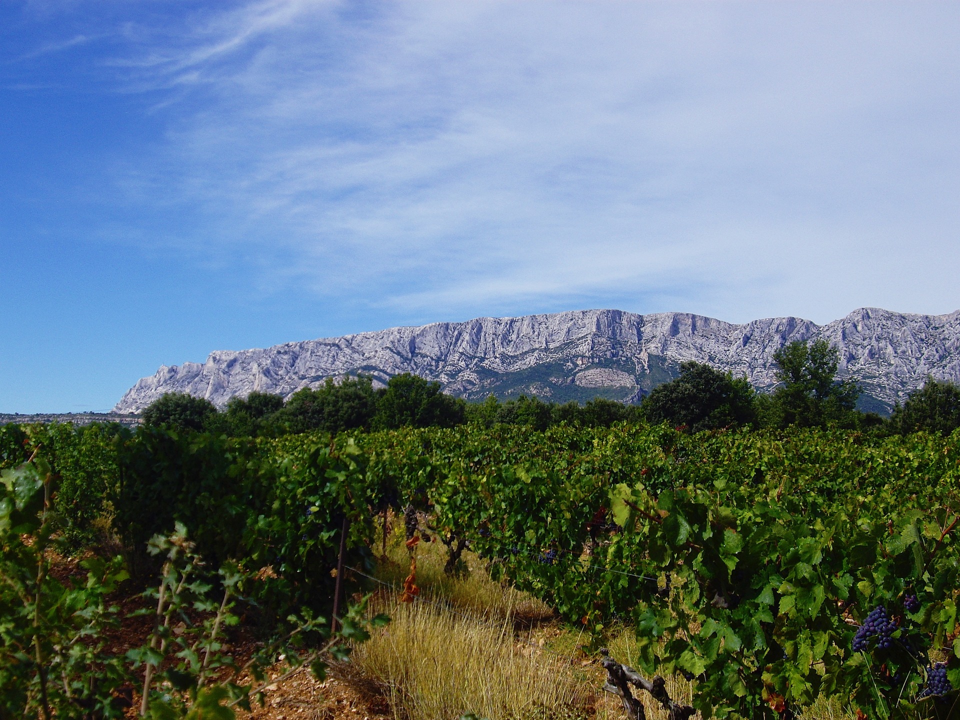 Sainte%20Victoire.jpg